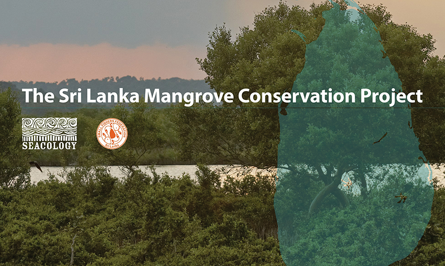 Seacology | Sri Lanka Mangrove Conservation Project - Seacology