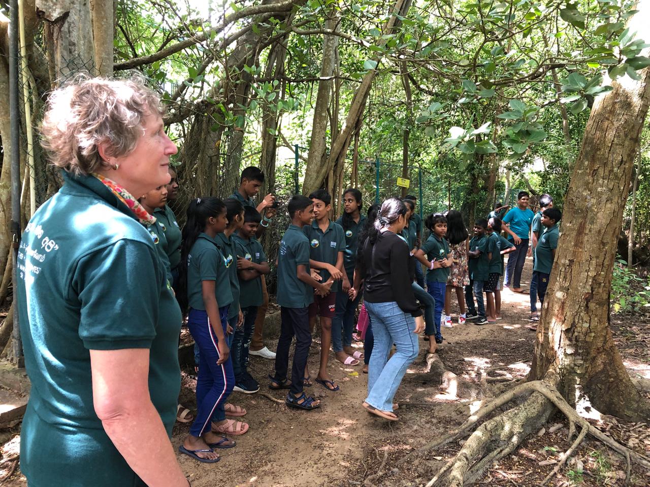 A group of people walk on a path through a mangrove forest