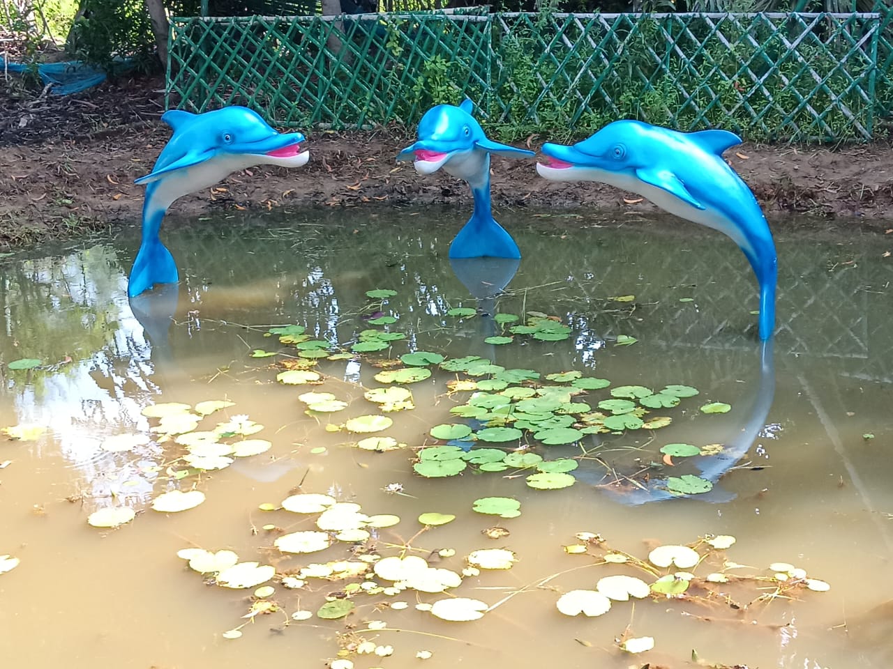 Dolphin sculptures mounted above pond with lily pads