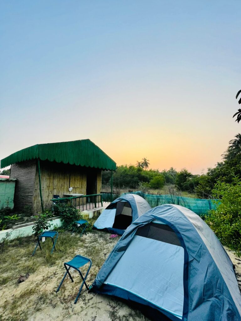 Tents set up outside cabins at sunrise or sunset