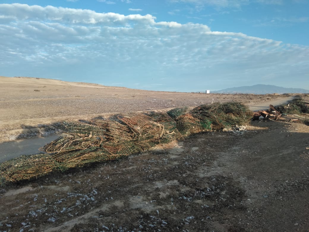 A large stretch of shore covered in old wire traps and other scrap metal