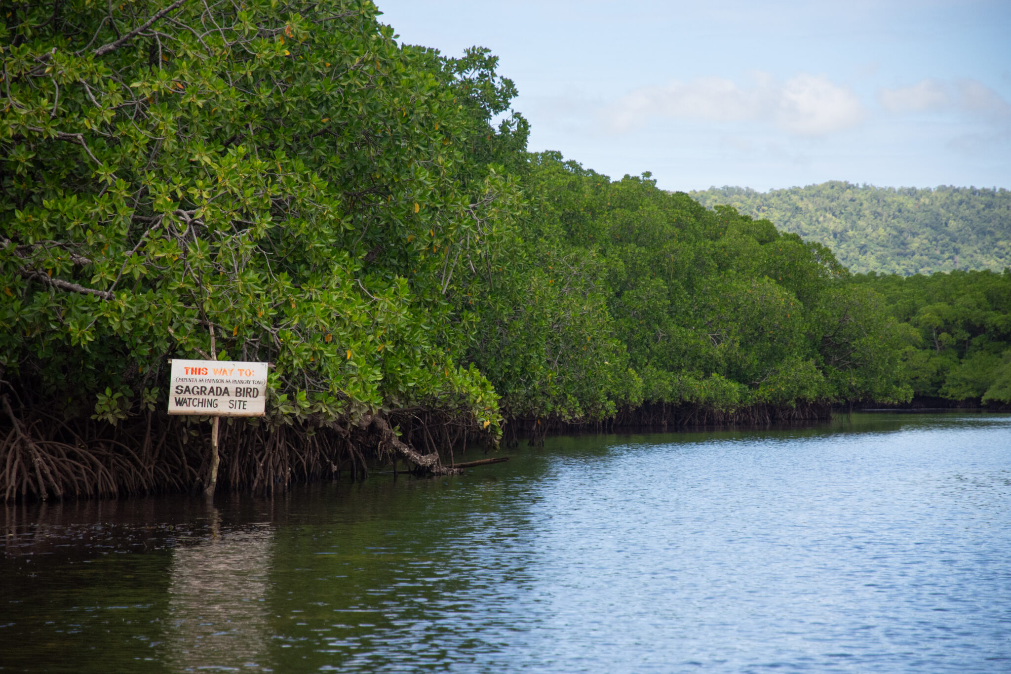 mangrove channel with birdwatching area signage