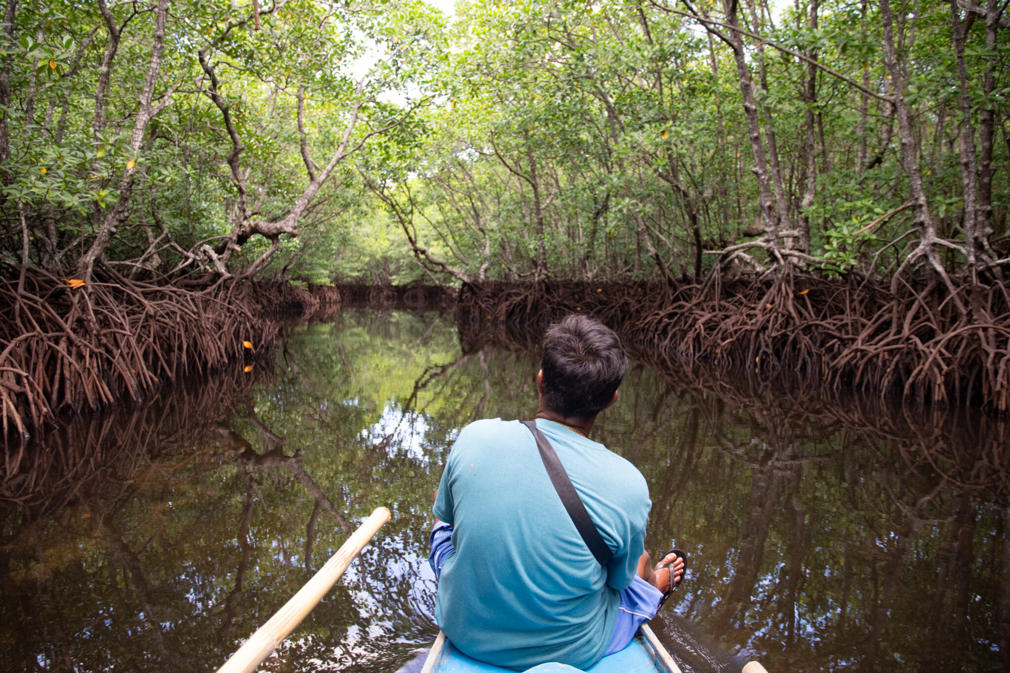 Man sits on front of boat in mangrove channel, with dense foliage