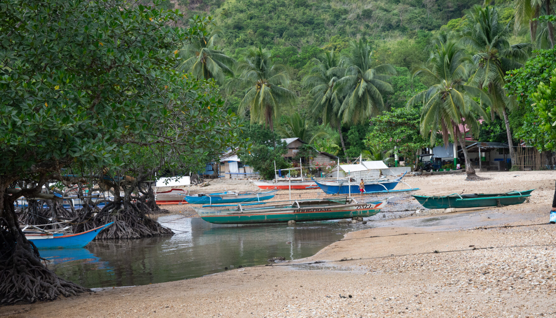 Boats on shoreline with trees in background