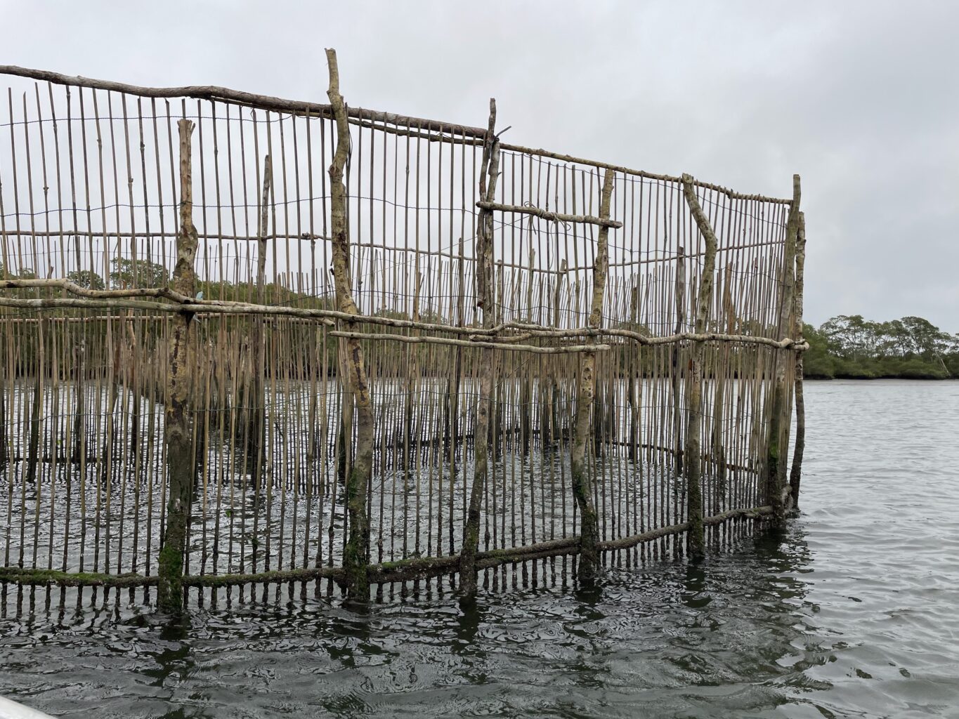 A structure in the water made out of many sticks