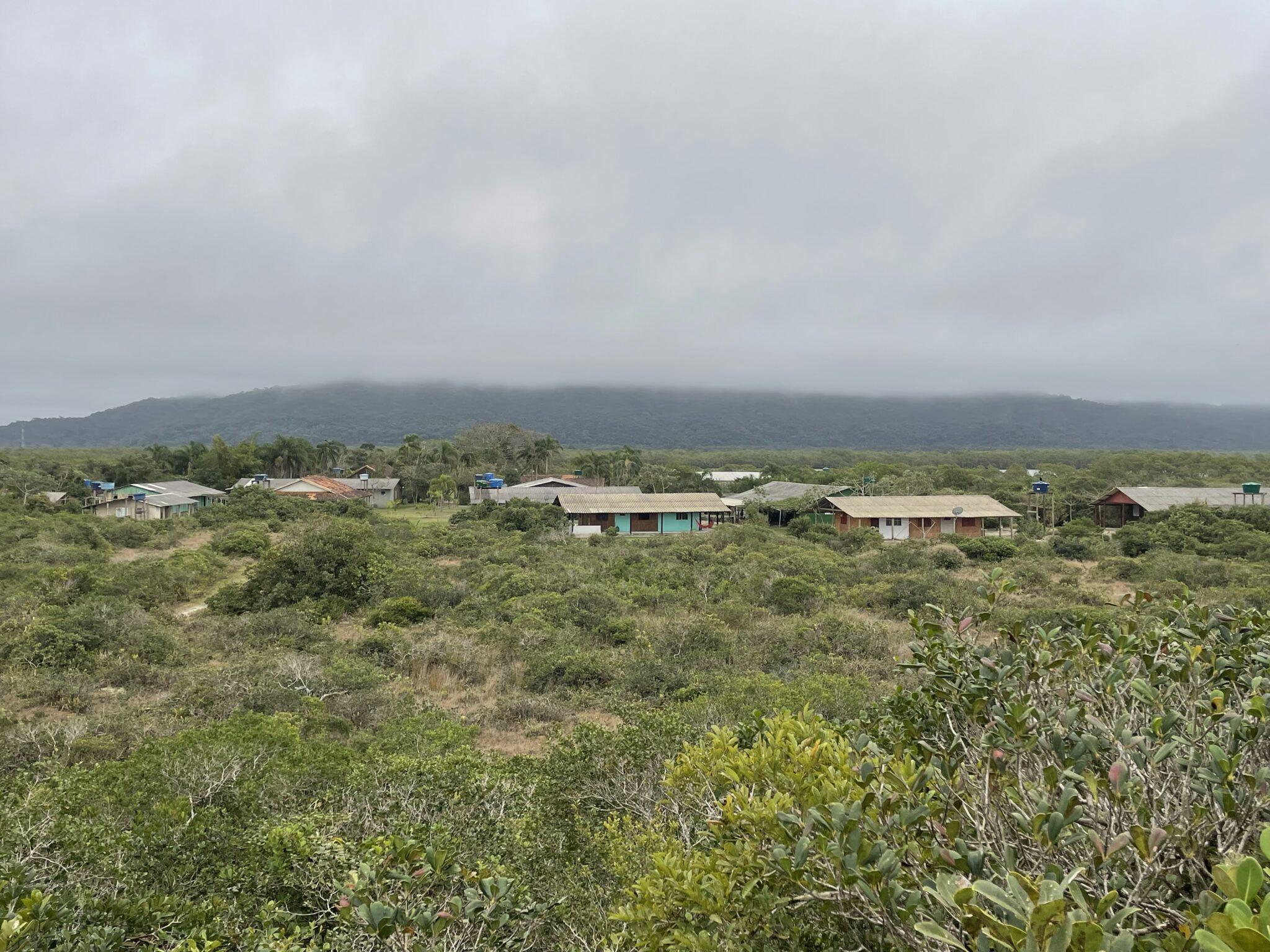 An aerial shot of a few buildings among green trees