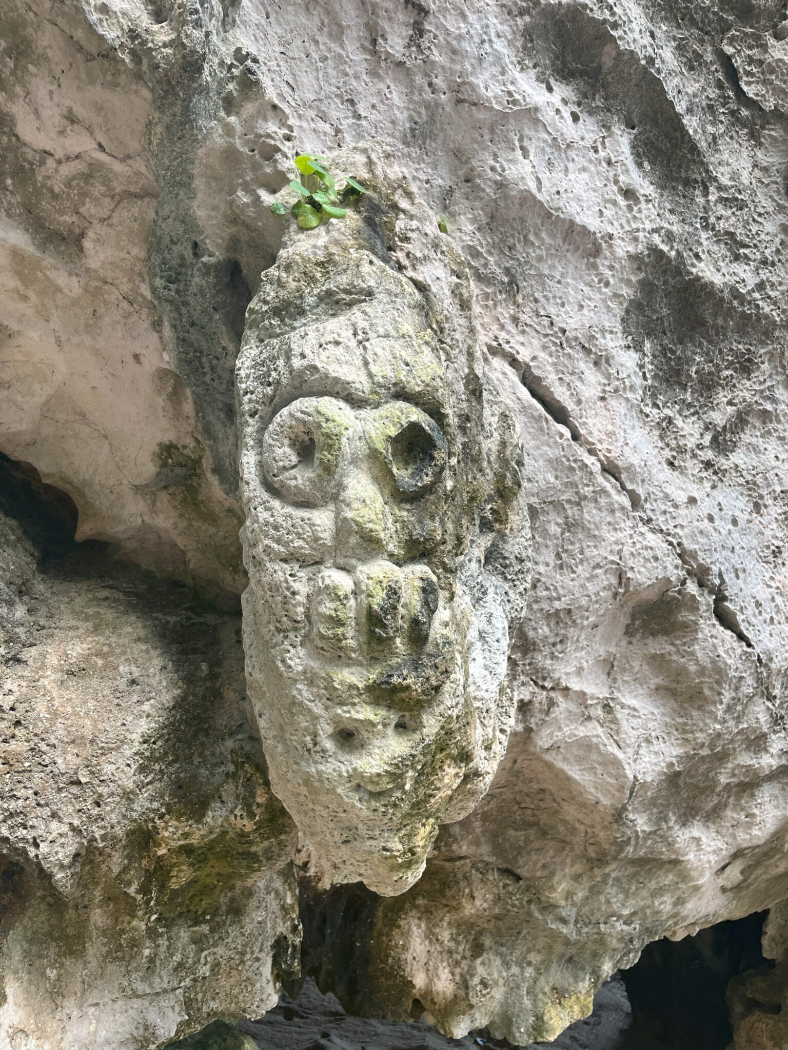 Face carved in stone wall