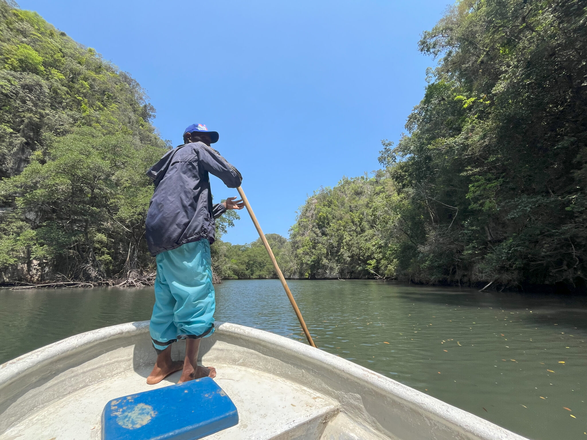 Local guide steers boat through mangroves