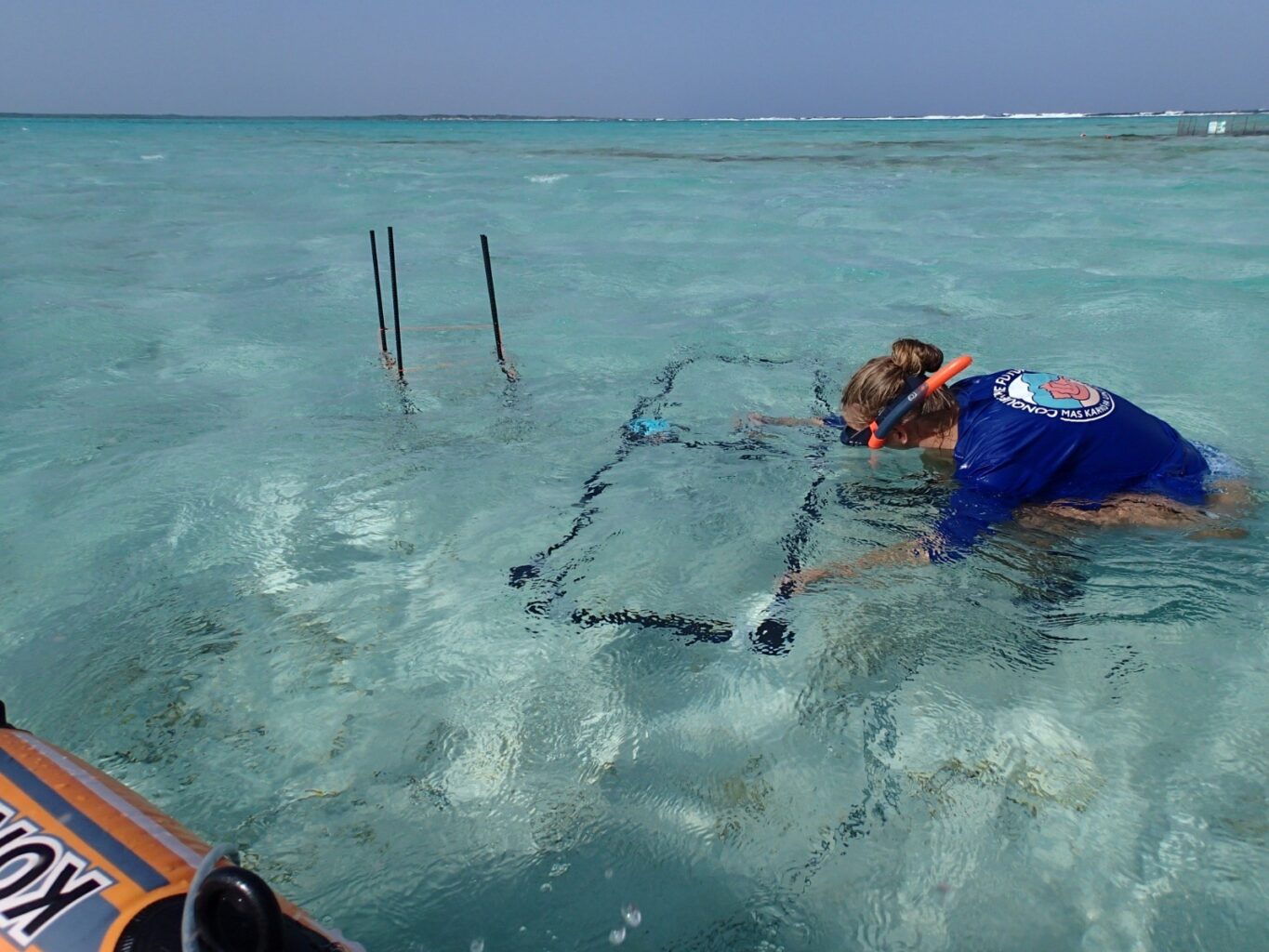 A person in a snorkel mask examines underwater equipment