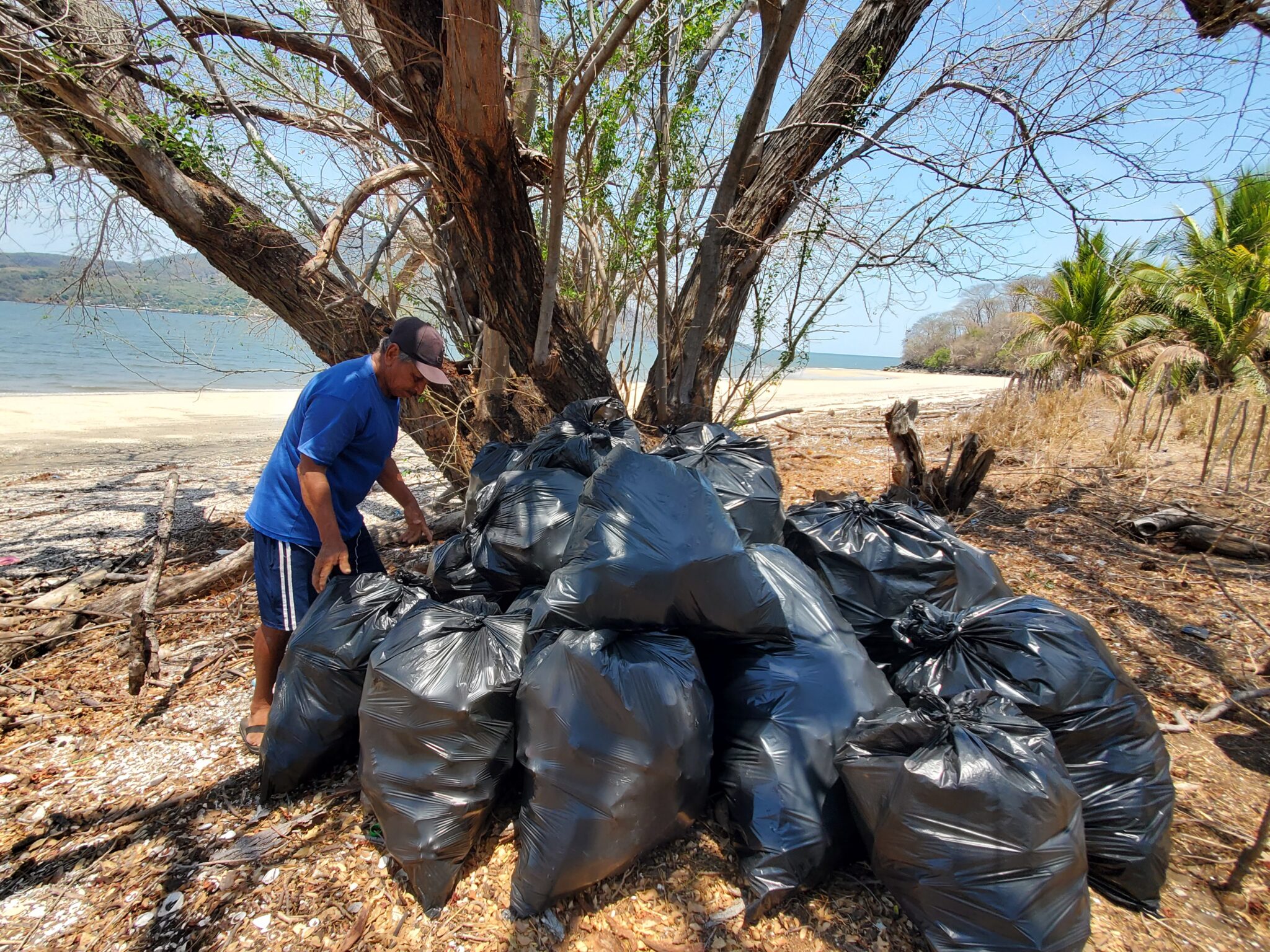 People with full garbage bags on beach