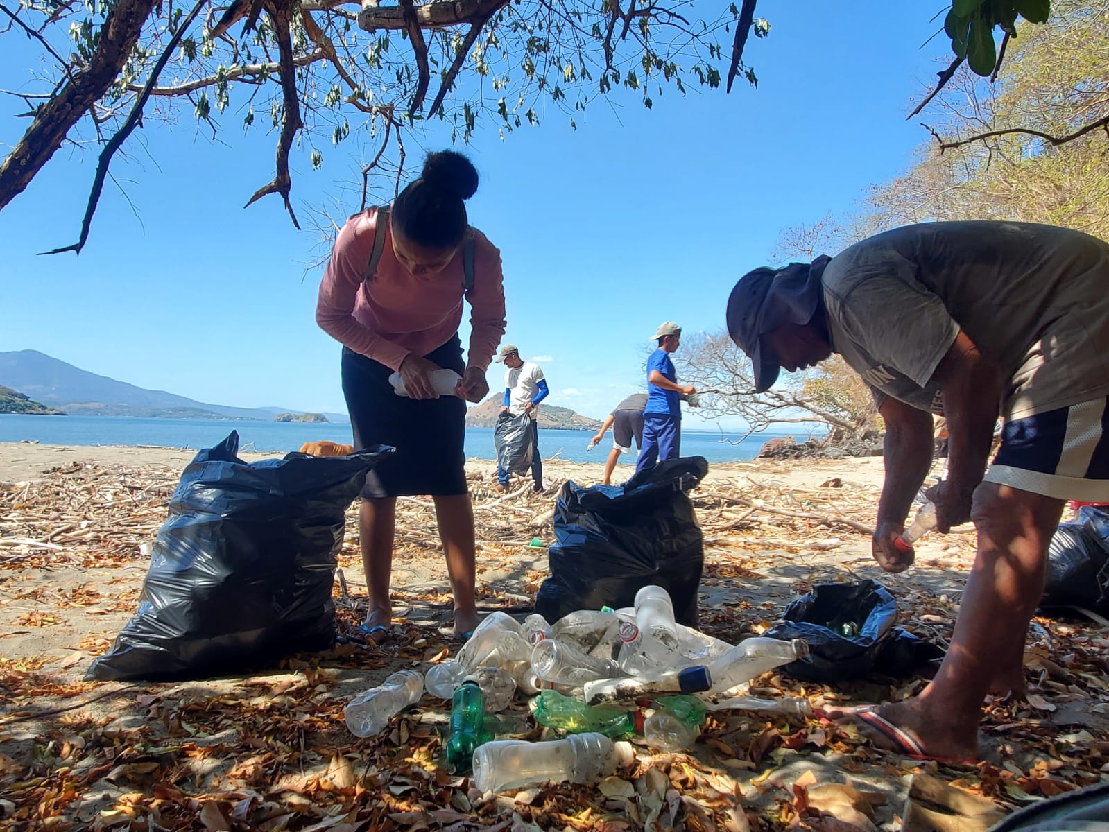 A group of people collect old bottles in trash cans on a sunny beach