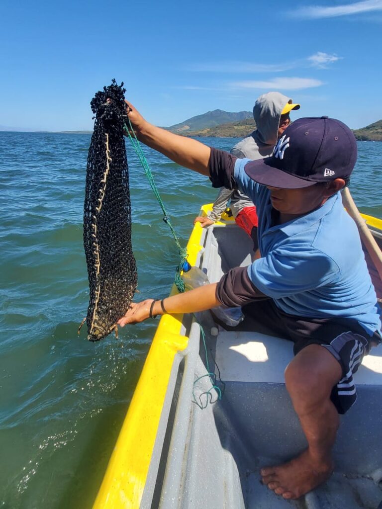 A man in a boat holds a mesh bag with a lobster in it