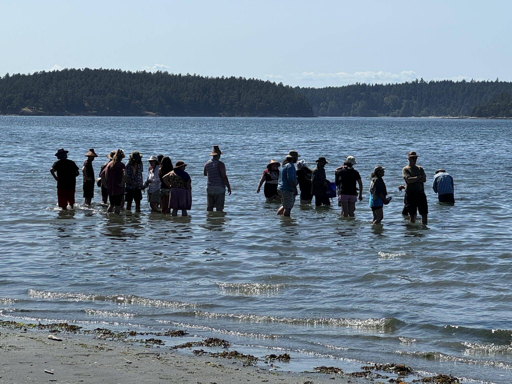 A group of people wades out into the water