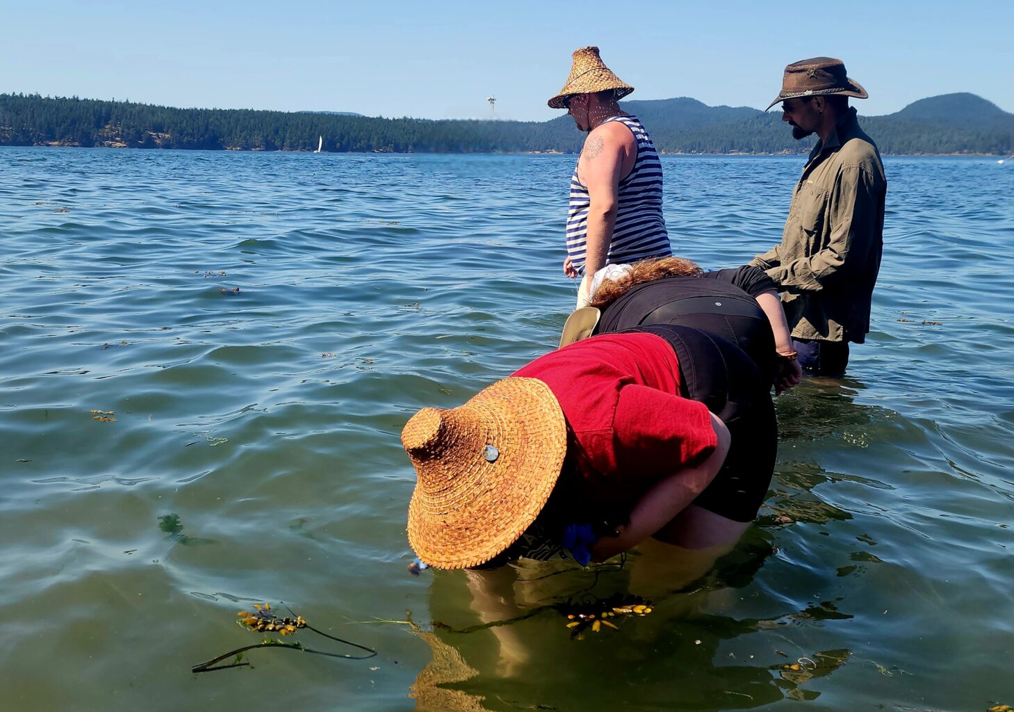 A group of people stands in the water, one person in a red shirt and a sunhat bending over