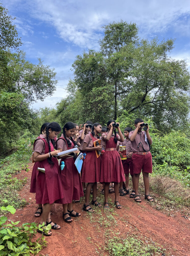 A group of students explores the forest