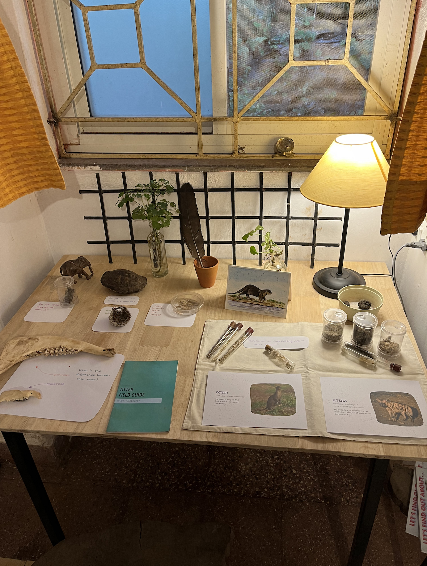 A table with papers, pictures, bones, feathers, and other educational items about wildlife