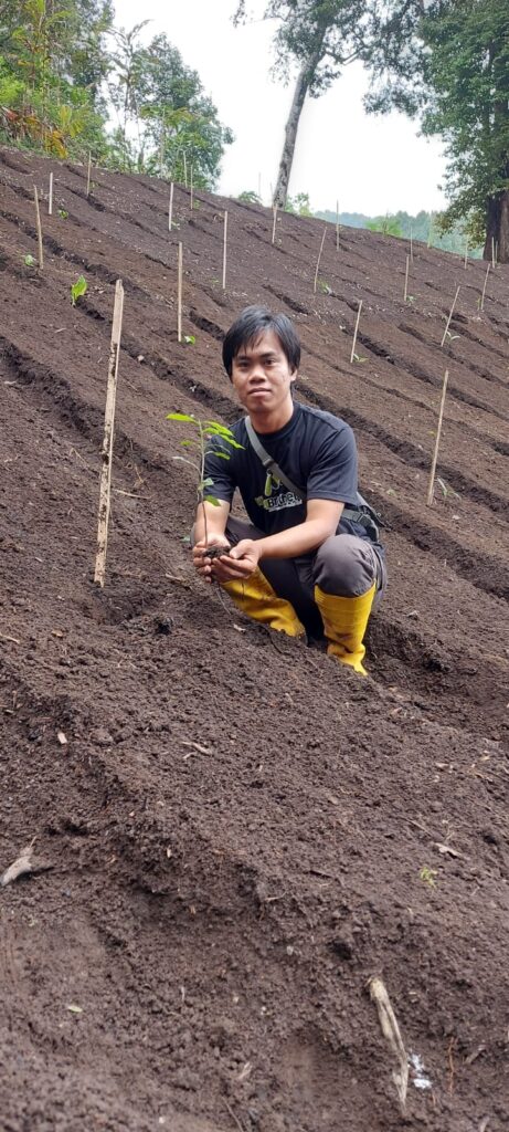 A man plants a tree sapling on a steep hillside