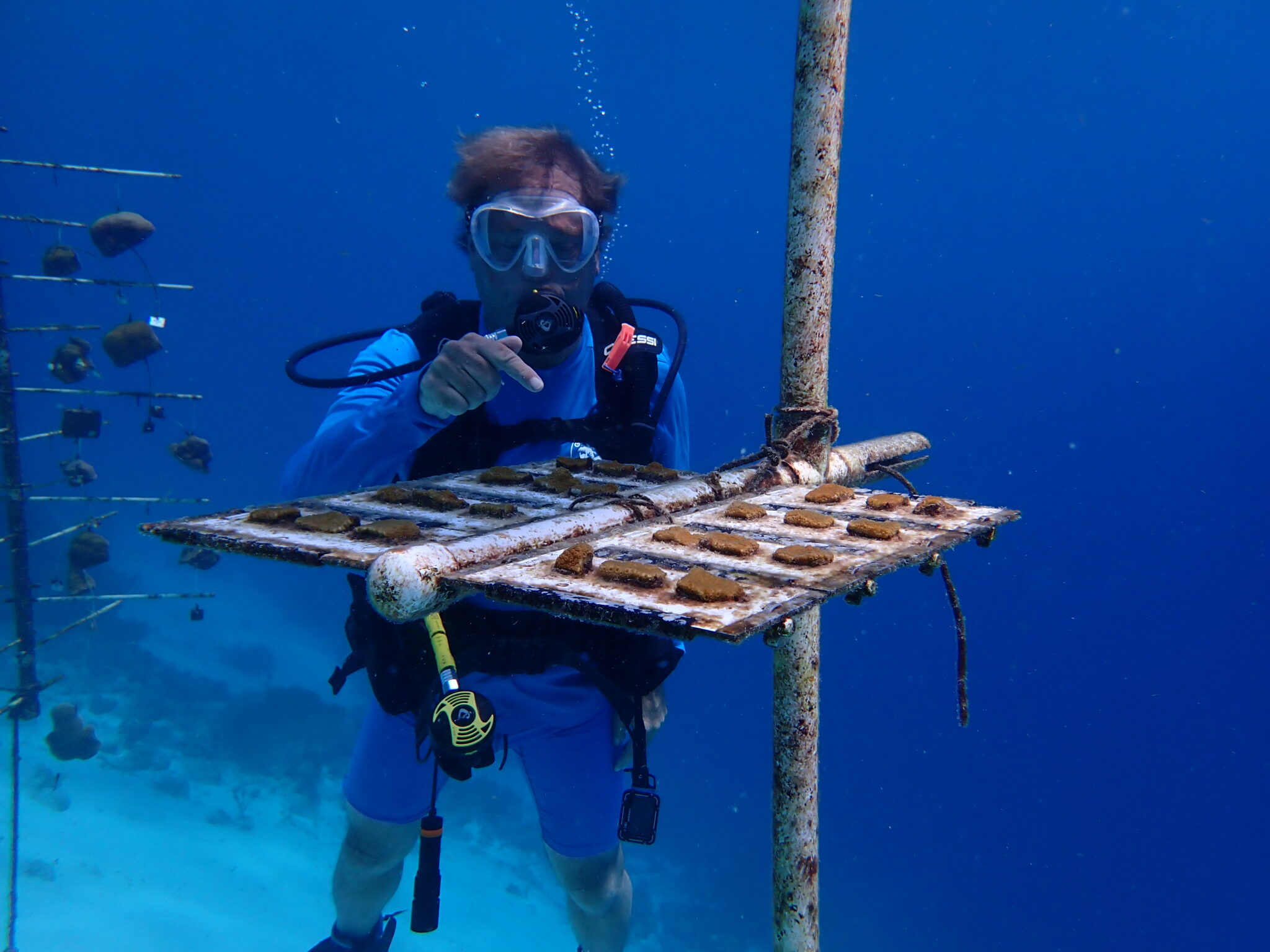 A person in scuba gear points to a flat structure with young coral growth on it