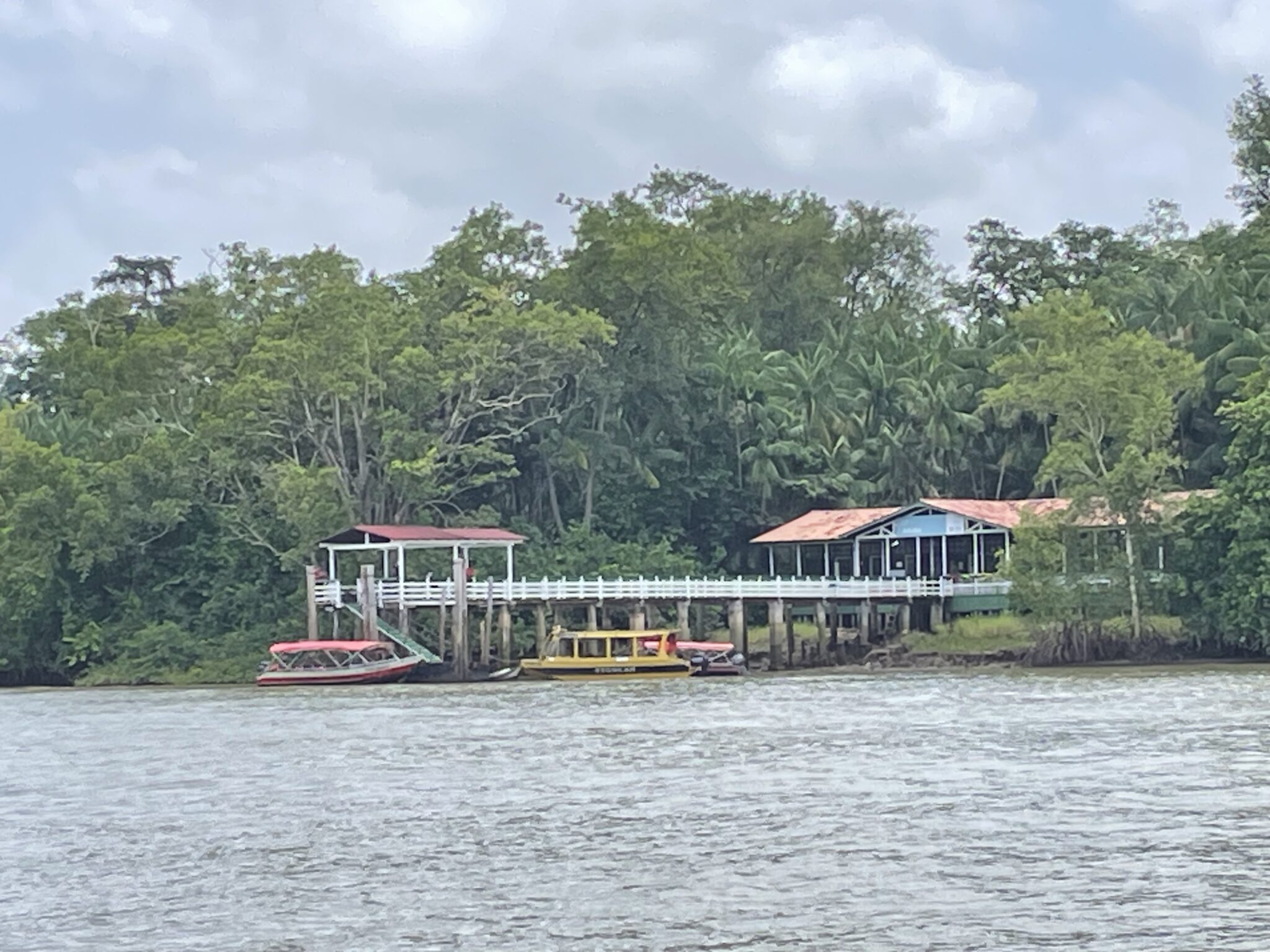 A couple of boats are moored next to a pier in a river with green trees in the background