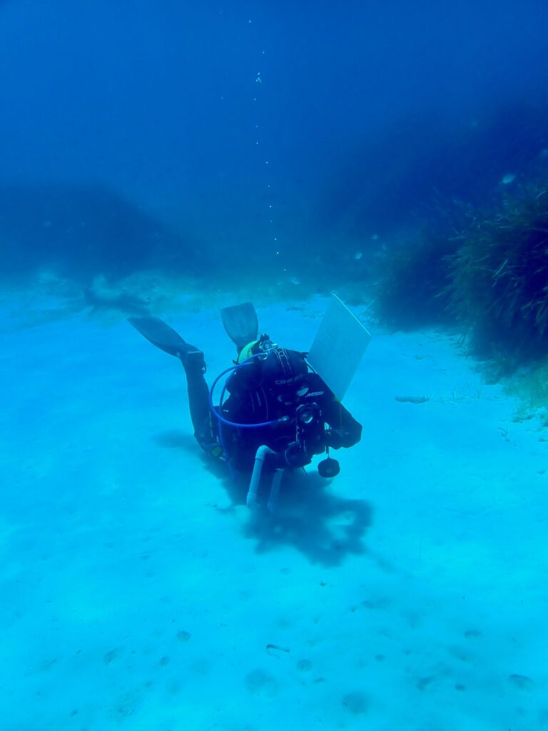 Diver replanting seagrass