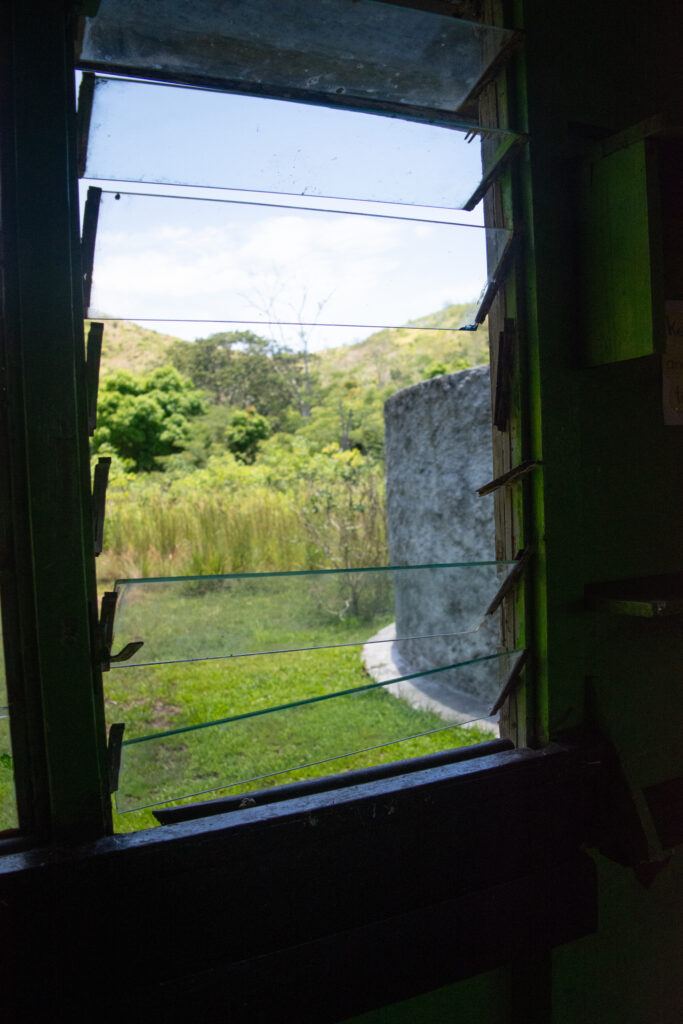 Green landscape seen through broken storm shutters